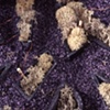 Notebooks (detail)