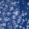 SPOTTED CLOUDS