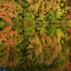 FALL LAKE REFLECTION - Franklin, MA
