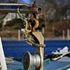 LOBSTER BOAT 2