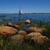 HARBOR SAIL BOAT - Barstable Harbor, MA