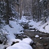 WINTER STREAM, NH (Portrait)