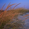 SUNSET BEACH PATH