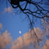 AFTERNOON WINTER MOON