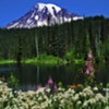 MT. RAINIER