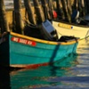 TIED UP - Westport, MA