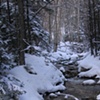 WINTER STREAM, NH (landscape)