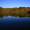 FALL LAKE - Franklin, MA