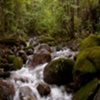 WHITE MOUNTIAIN RIVER