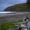 EARLY AUGUST WALK - WA