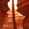 SLOT CANYON - Bryce Canyon, UT