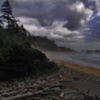 MISTY OREGON COAST