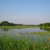 MARASPIN CREEK - Barnstable, MA