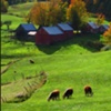 VERMONT FARM