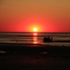 INTERACTIVE CAPE SUNSET