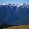 OLYMPIC NATIONAL PARK 2