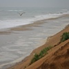 Cape Cod National Sea Shore #1