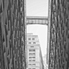 looking up as the market falls