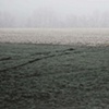 frost, foggy field