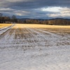 Winter light