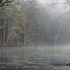 Fog over swamp 2