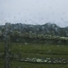 misty fence
