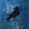 Blackbird 1