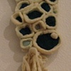 Cell Cluster