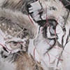 Netted Wolves