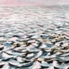 Ocean