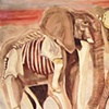 Elephants
