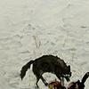 Grey Wolf