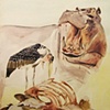 Hippo's Desperate Living