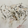 Wolves