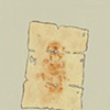 The Shroud of Timmy