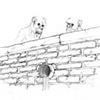 Drain