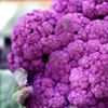 Farmer's Market