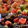 Farmer's Market