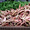Farmer's Market