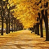 Fall