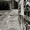 The Wall
