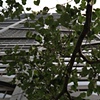 John Hancock Center