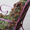 Lawn Chair