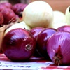 Farmer's Market