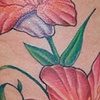 Flowers1