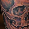 Skull