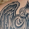 Wings