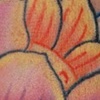 Lotus on waves