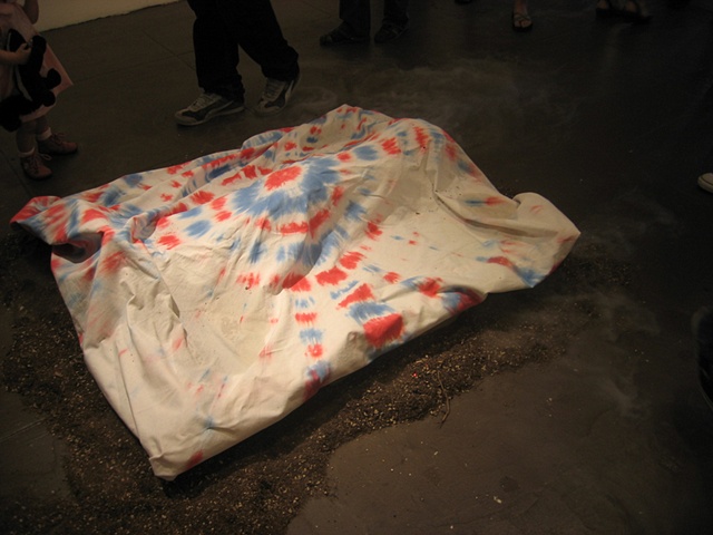 from "Live Aid" a Collaborative Installation with Erin Olivia Weber