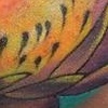 (In Loving Memory) Flowers in Color